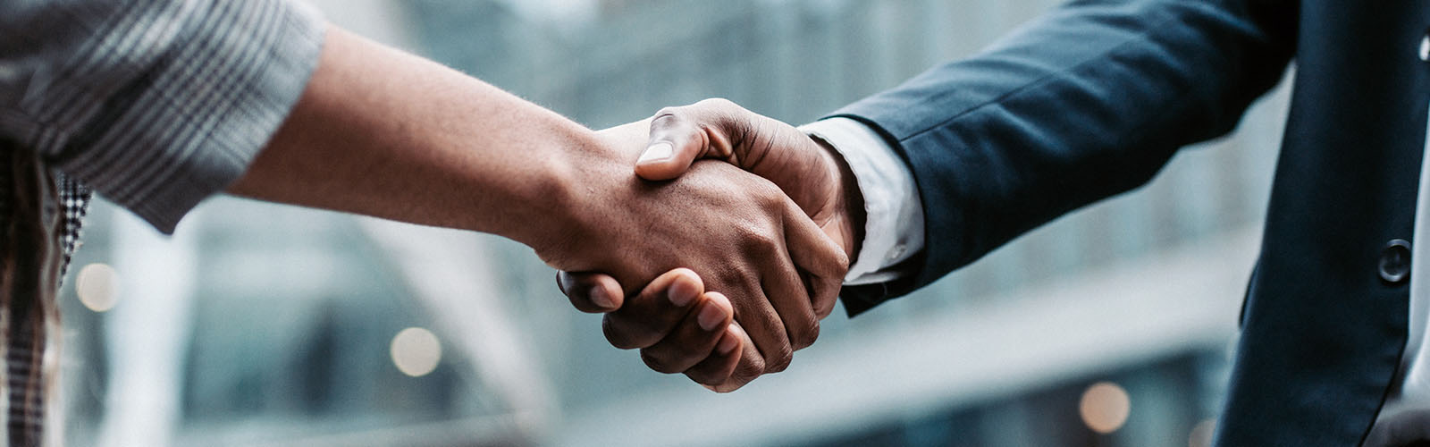 Partners 